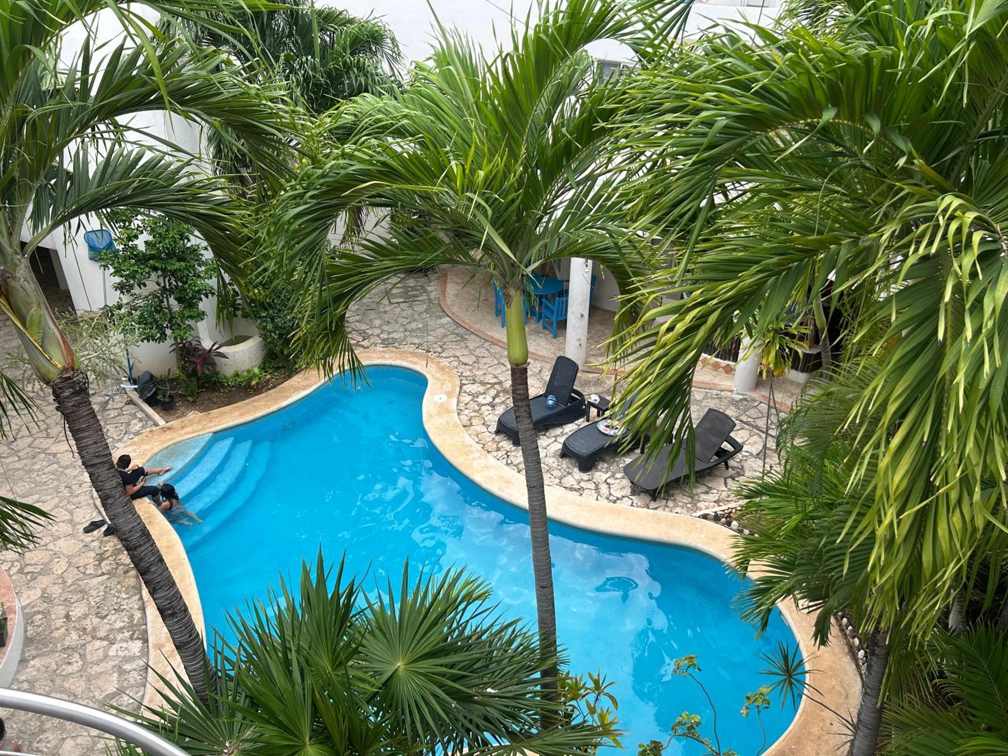 Apartamento Blue Angel 8 A Unos Pasos De La 5 *